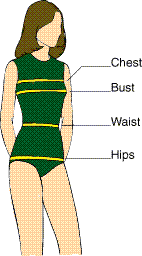 Sizing Feminine Attire to the Male Body 